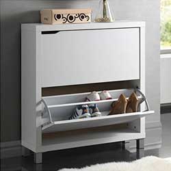 Bowery Hill Modern Shoe Cabinet in White, 2-Tier