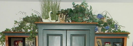 Plants and Decorations on Top of Armoire